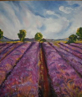 lavanda-in-provenza