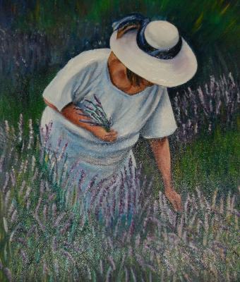 raccoglitrice-di-lavanda