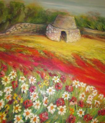 quot-la-mia-calda-terraquot
