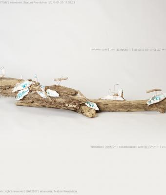 nature-revolution