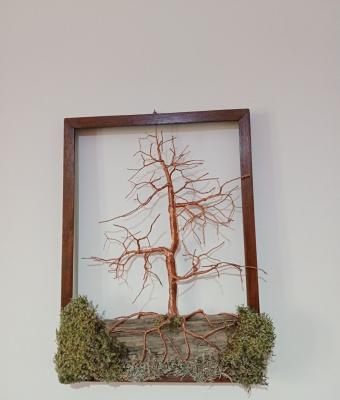 bonsai-tree