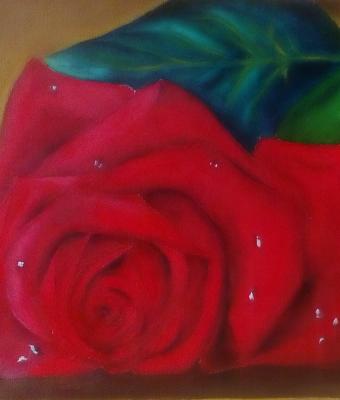 rose-asleep