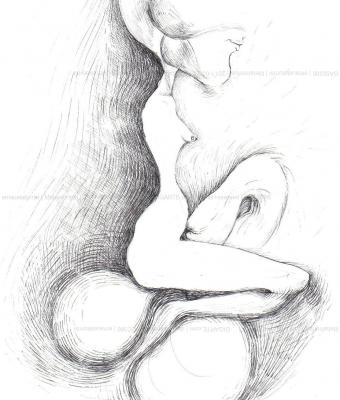 metamorfosi