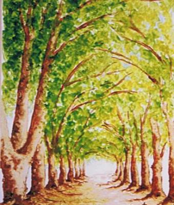 viale-alberato