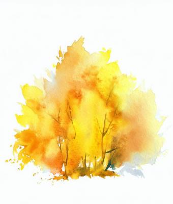 ga216069-senza-titolo