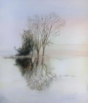 riflessi