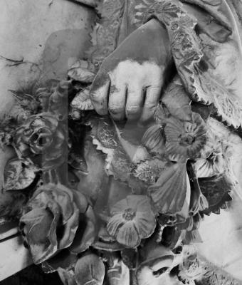 fiori-di-pietra