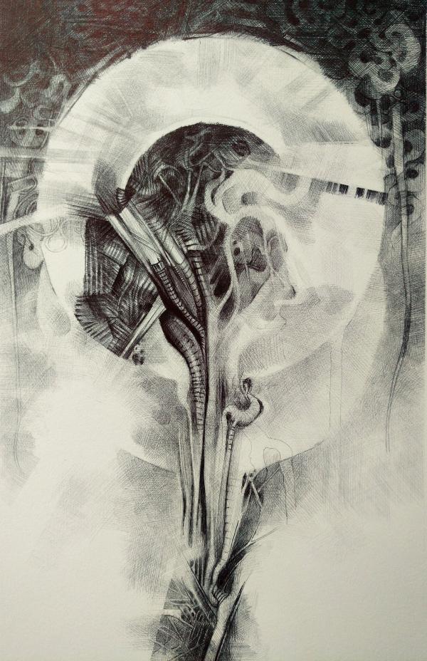 vortici-genetici