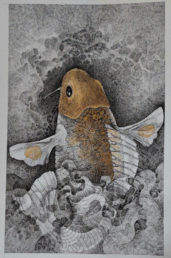 koi