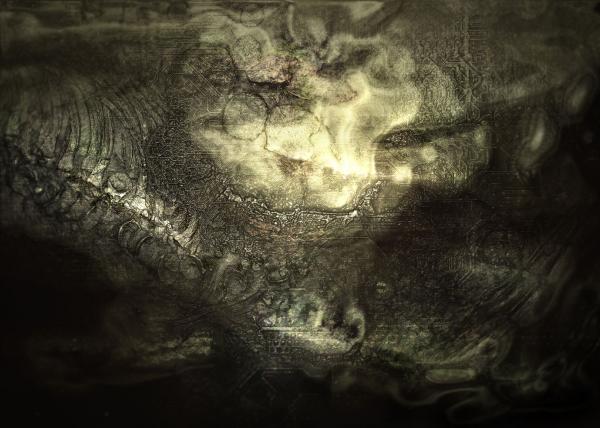 matrice-fossile