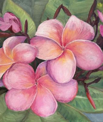 plumeria-rubia