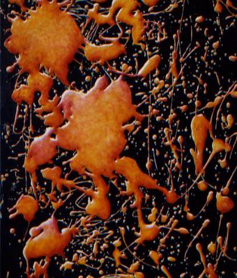 ga2946-senza-titolo