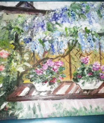 il-glicine-del-mio-giardino
