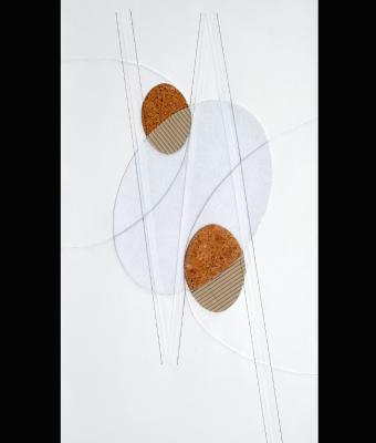 evoluzione-0112