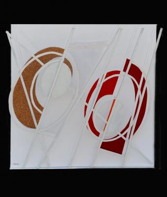 evoluzione-01116