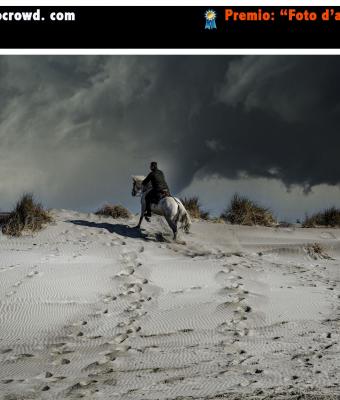 cavalcata-in-camargue