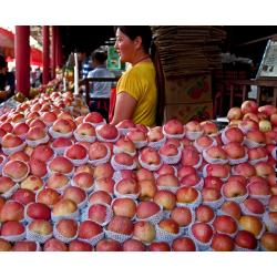 cina-mercato-della-frutta