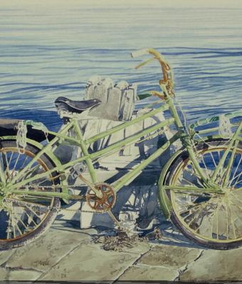 bicicletta