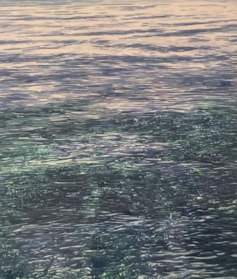 signs-in-the-water