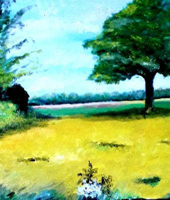 campo-colorato