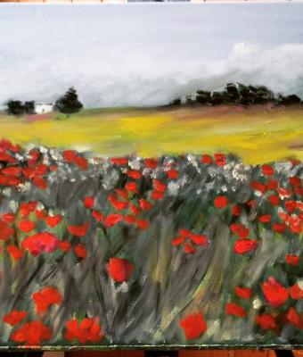 campo-papaveri