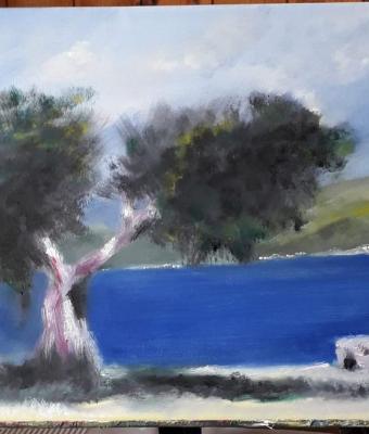 l-albero-e-il-mare