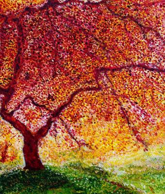 dalle-immagini-di-peter-lik