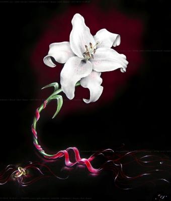 quot-lilium-quot