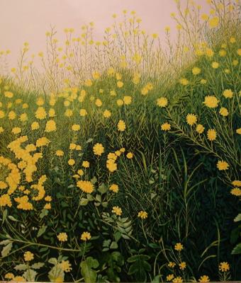 quotgreppo-con-fiori-gialli