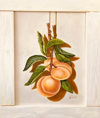 albicocche-appese-con-ramo-e-f
