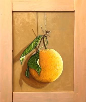 arancia-appesa-con-ramo-e-fogl