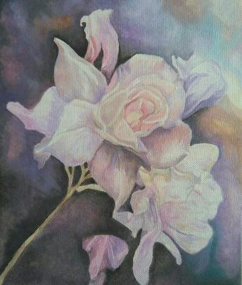 rose