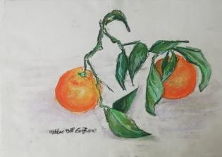 mandarini