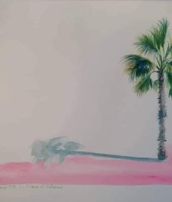 la-palma-di-cafarnao