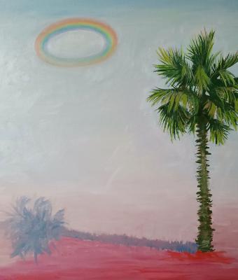 la-palma-di-cafarnao-2