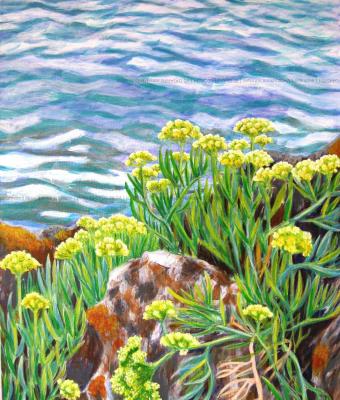 vegetazione-sul-mare