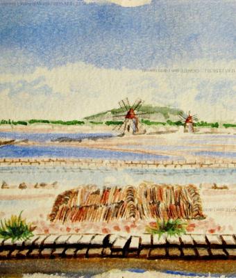 saline-di-mothia-i