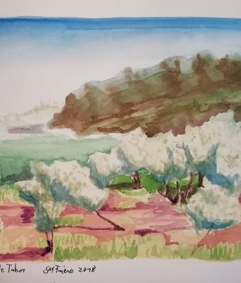 da-cana-al-monte-tabor