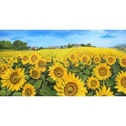 campo-di-girasoli