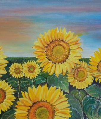 girasoli-al-tramonto