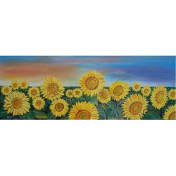 girasoli-al-tramonto