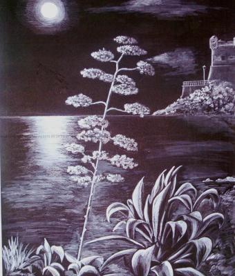 riflessi-di-luna-nervi
