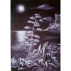 riflessi-di-luna-nervi