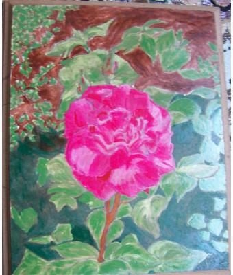 rosa-acrilici