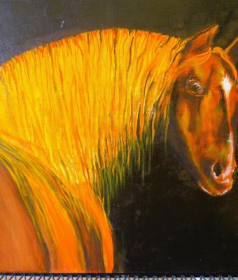 cavallo-arabo-sauro