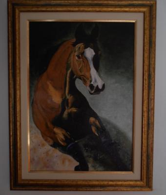 cavallo-arabo