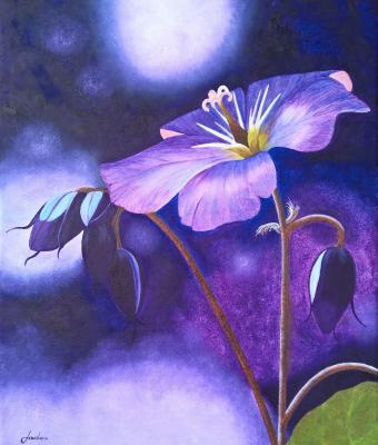 un-fiore-viola