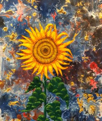 girasole