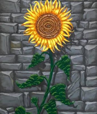 girasole