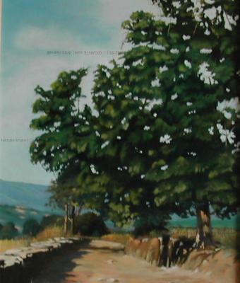 cammino-di-santiago